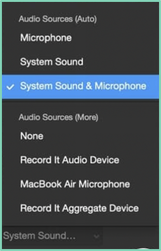 Internal Microphone